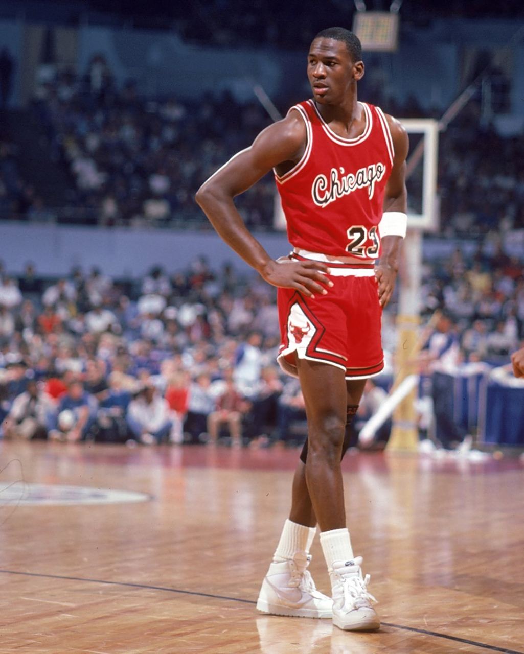 职业生涯的 职业生涯的