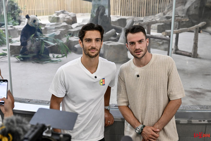 展现了全能 展现了全能