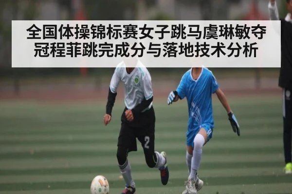 全国体操锦标赛女子跳马虞琳敏夺冠程菲跳完成分与落地技术分析 - FeiFan Sports